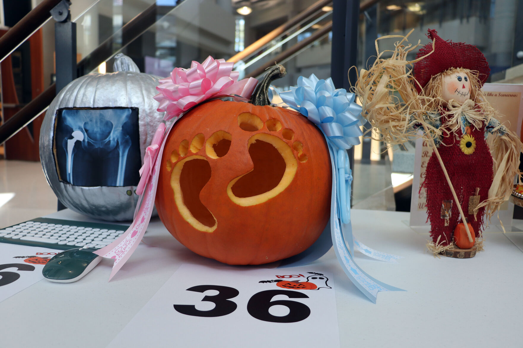 MUSC Pumpkins